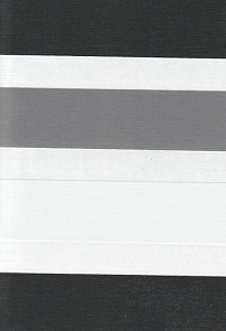 Рулонные шторы день-ночь для проема Салерно, серый 2002 купить в Кимрах с доставкой
